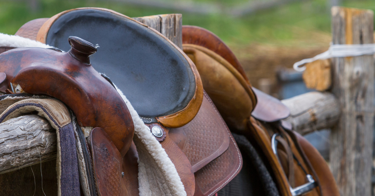 The Complete Western Saddle Sizing Guide